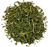 Artemisia