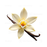 Bourbon Vanilla