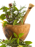 Herbal